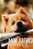 Мой Хатико (2023)